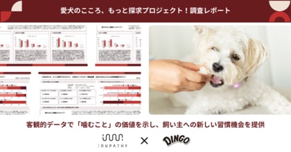 【調査レポート】イヌパシー|イヌの本能に寄り添うデータ解析を実施!客観的データで「噛むこと」の価値を示し、飼い主への新しい習慣機会を提供