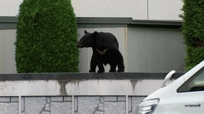 クマ被害関係閣僚会議が初開催　11月中旬までに対策パッケージ見直し…ガバメントハンターの人材確保など盛り込みへ