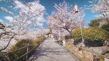 日本遺産の町並み サイクリストの聖地 空き家バンクも充実の尾道市の魅力