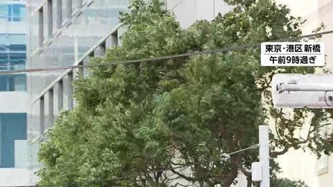 東京地方・近畿地方で「木枯らし1号」気象庁発表　あす朝は関東から西の地域で今シーズン一番の冷え込みか