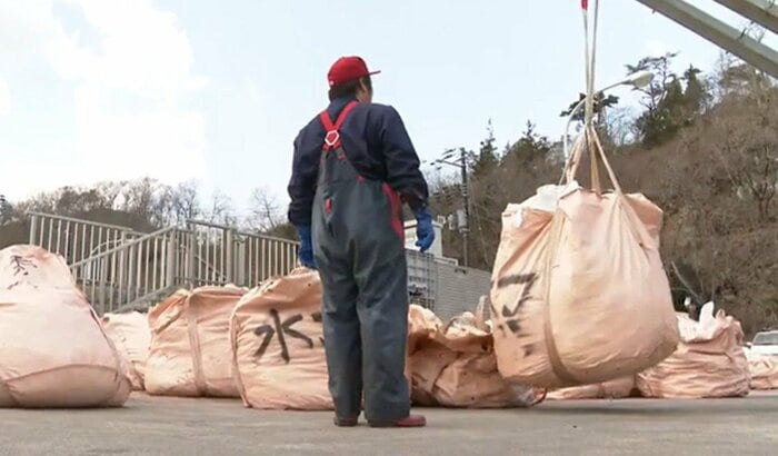 食卓に並ぶためではなく、被害額を計算するために引き揚げられたワカメ