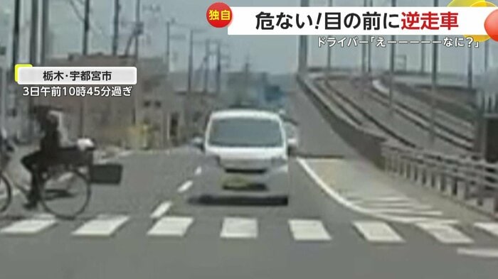 向かい合うように止まっていた白い車(視聴者提供)