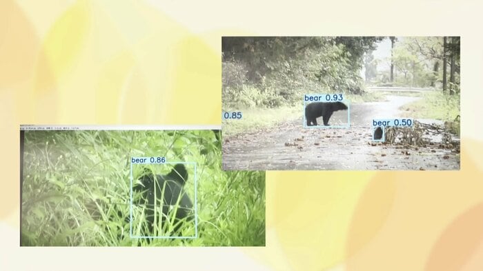 提供映像による実験でもAIが茂みに隠れた動物を「クマ」と認識（左下）
