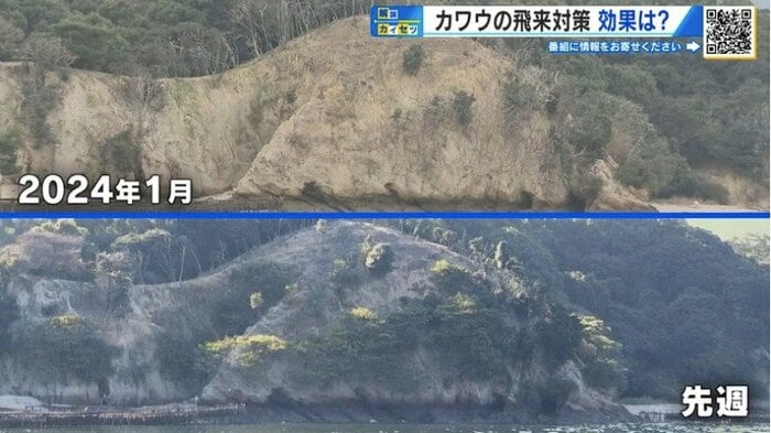 上：2024年1月　下：2025年10月