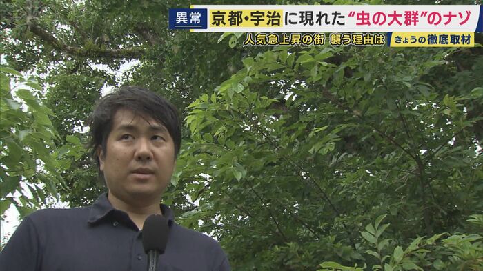 「視界全部、虫」虫に囲まれる記者