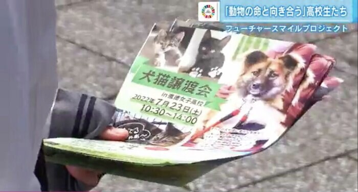犬猫譲渡会のチラシを手に、炎天下で来場を呼びかける高校生