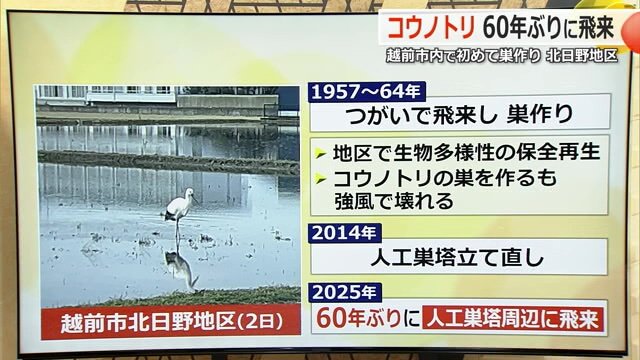 北日野地区のコウノトリ保護の歩み