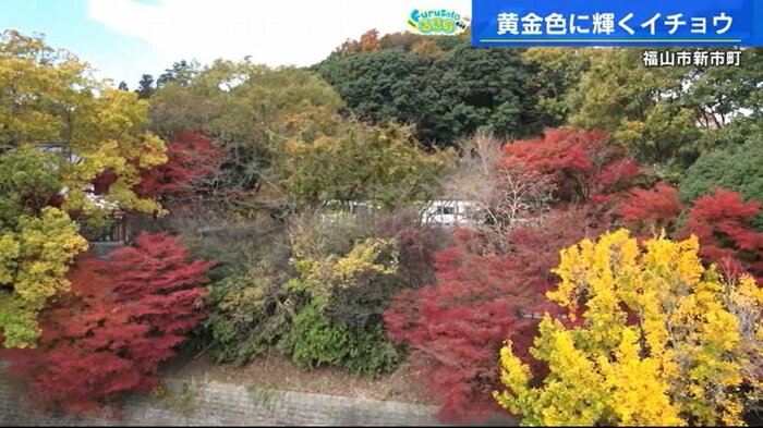 福山市 備後一宮・吉備津神社