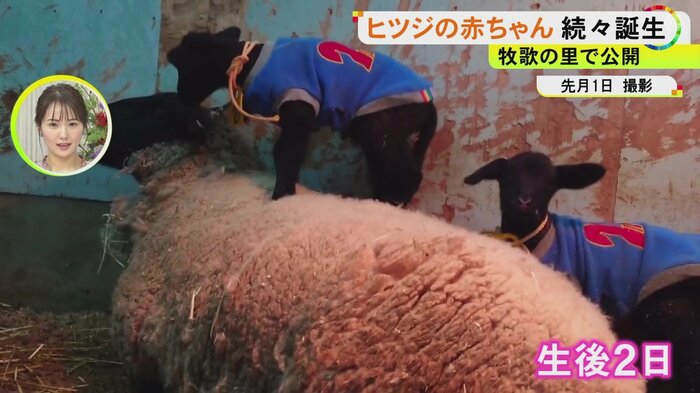 ニュースONE