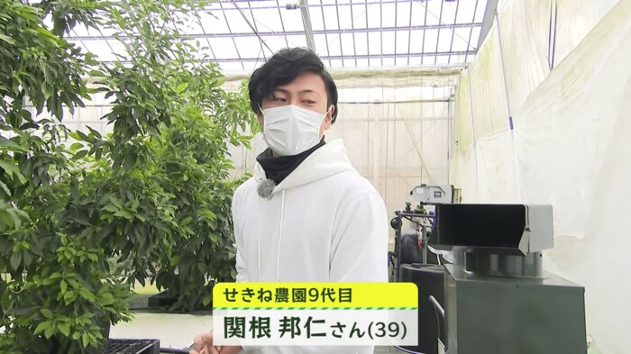 せきね農園:新潟市南区