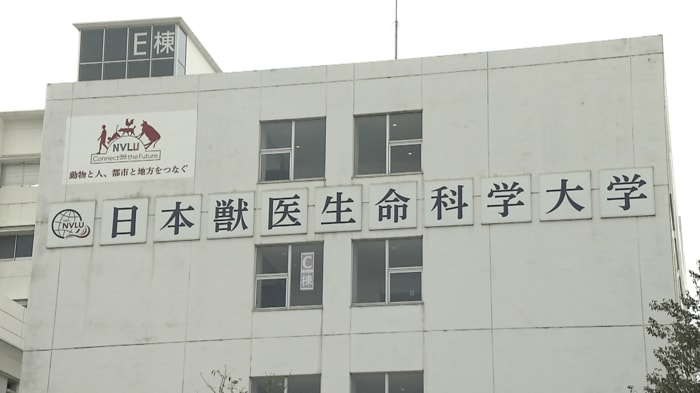 国内で「法獣医学」を学ぶ教育環境は限られ、担い手不足が課題に