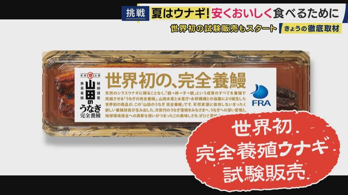 "完全養殖ウナギ"が世界で初めて一般向けに試験販売