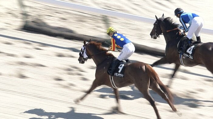 博多Sを制したサイモンザナドゥ