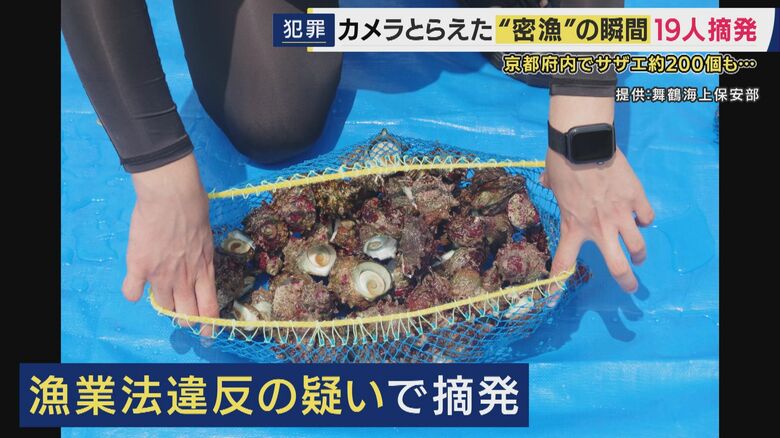 「泥棒されているような状況」　カメラがとらえた“密漁”の瞬間　海水浴シーズンに急増　漁業法違反の疑いで京都で19人摘発　クーラーボックスに大量のサザエが…｜FNNプライムオンライン