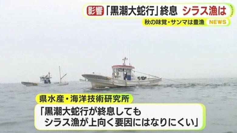 黒潮の大蛇行終息で秋の味覚・サンマは豊漁　記録的な不漁に見舞われたシラスは？漁師は因果関係について疑問符を浮かべる「蛇行している時も獲れた時がある」｜FNNプライムオンライン