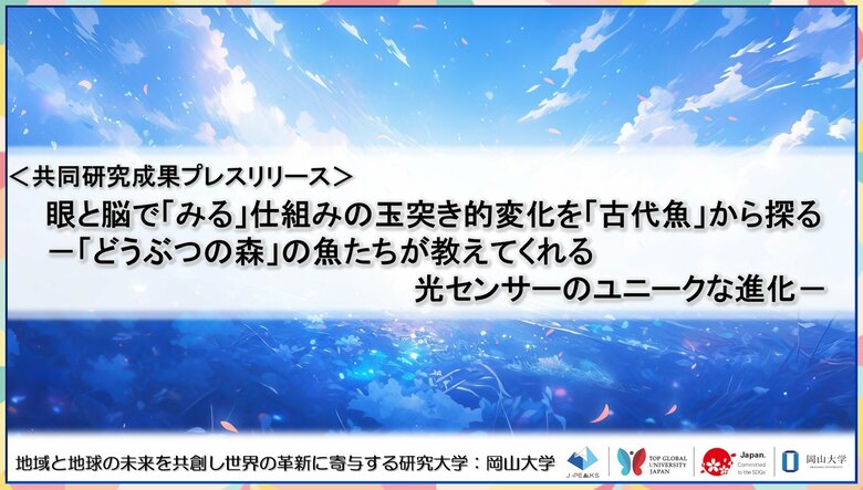 眼と脳で「みる」仕組みの玉突き的変化を「古代魚」から探る-「どうぶつの森」の魚たちが教えてくれる光センサーのユニークな進化-〔京都大学, 甲南大学, 岡山大学, 奈良女子大学〕