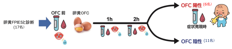 卵黄による食物蛋白誘発胃腸炎(FPIES)の新たな発症メカニズム~高深度プロテオーム解析で免疫システムの過剰反応が明らかに~