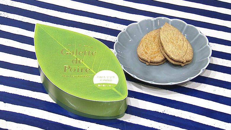 “梨の葉”が新スイーツに!?ほろ苦い一枚に込めた思い…学生たちが見つけた鳥取大生が2年かけ商品化 耕作放棄地に着目【鳥取発】|FNNプライムオンライン