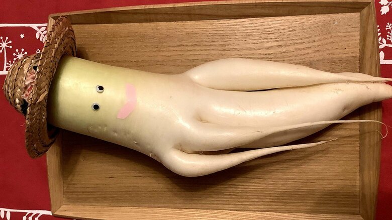 ４本足が生え、裏には謎の“おまけ”つき…畑で見つかった不思議すぎる大根に帽子と顔をつけてみたら“物語”が始まった【宮城発】｜FNNプライムオンライン