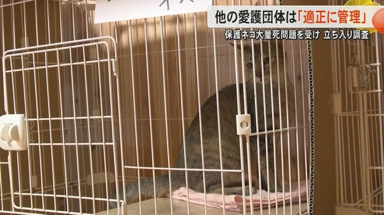 「全ての施設に問題ない」熊本市と熊本県が計55の動物愛護関連の施設を調査　熊本市北区で約150匹のネコの死骸が見つかった事件受け｜FNNプライムオンライン