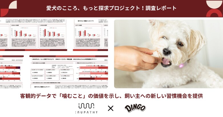 【調査レポート】イヌパシー|イヌの本能に寄り添うデータ解析を実施!客観的データで「噛むこと」の価値を示し、飼い主への新しい習慣機会を提供