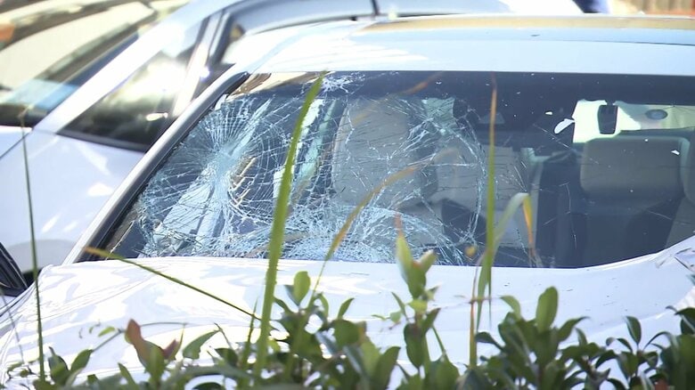 時速60キロ近いスピードで歩道暴走か…11人死傷ひき逃げ事件　“盗難車”で逮捕の男（37）「神奈川県内の山に行きたいと」容疑否認｜FNNプライムオンライン