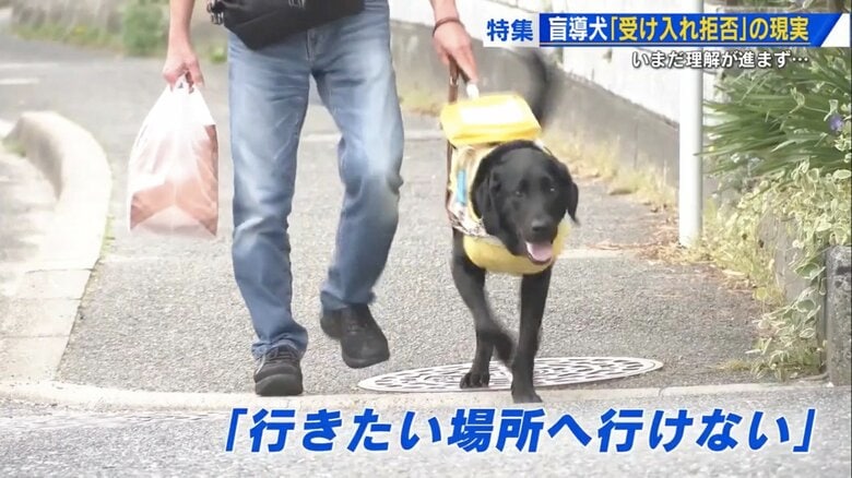 「盲導犬がいる」と言ったら7軒の店に断られ…　障がい者の2人に1人が“受け入れ拒否”を経験　法改正後も補助犬同伴への理解進まず【広島発】｜FNNプライムオンライン