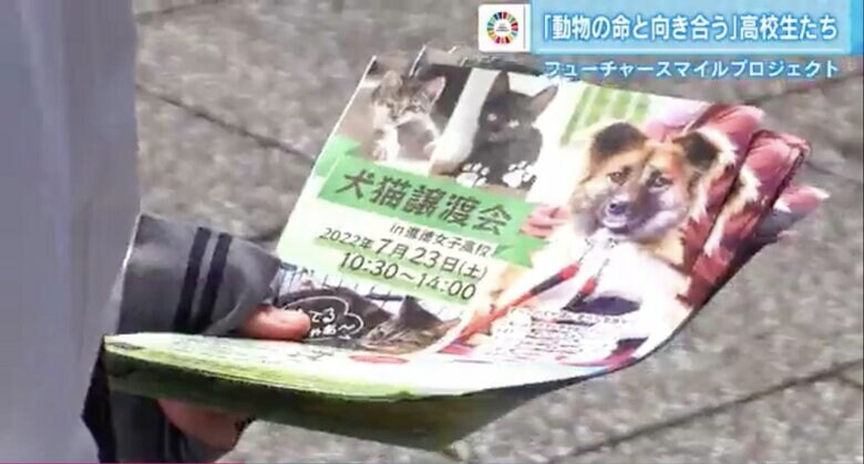 犬猫譲渡会のチラシを手に、炎天下で来場を呼びかける高校生