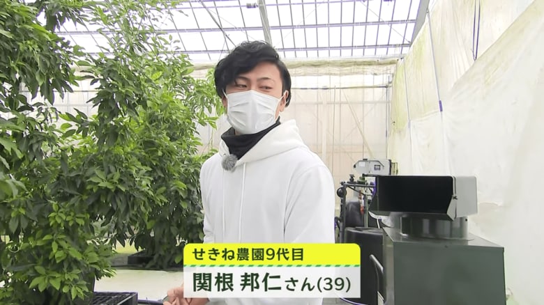 せきね農園:新潟市南区