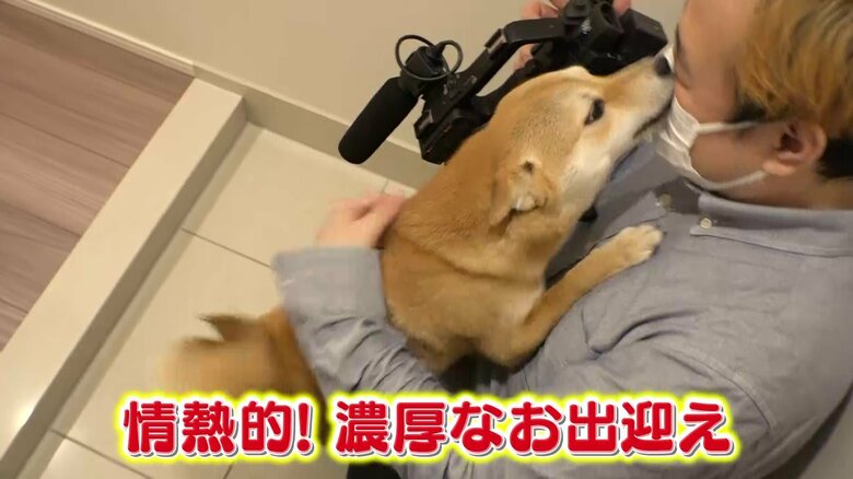 マメちゃんのお宅を訪問すると…