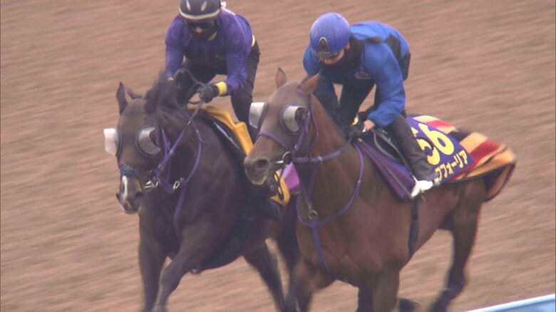 美浦にて、エフフォーリアの最終追い切り