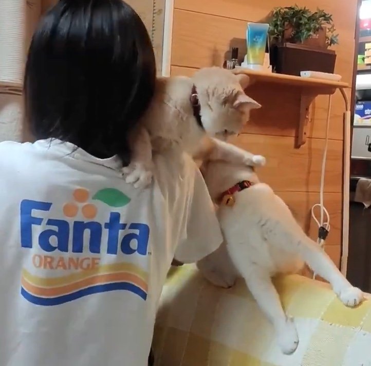 提供：nyaokoさん