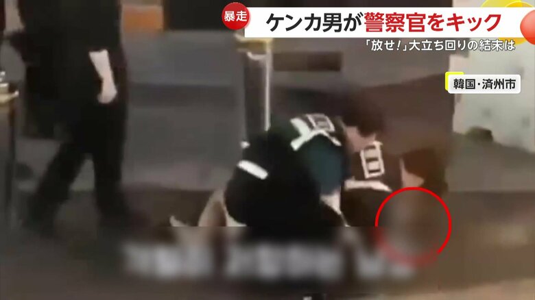 暴行容疑などで現行犯逮捕された男