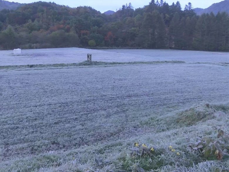 今季初の氷点下を観測した地区も…東海地方でこの秋一番の冷え込み 名古屋で最低気温10.0度