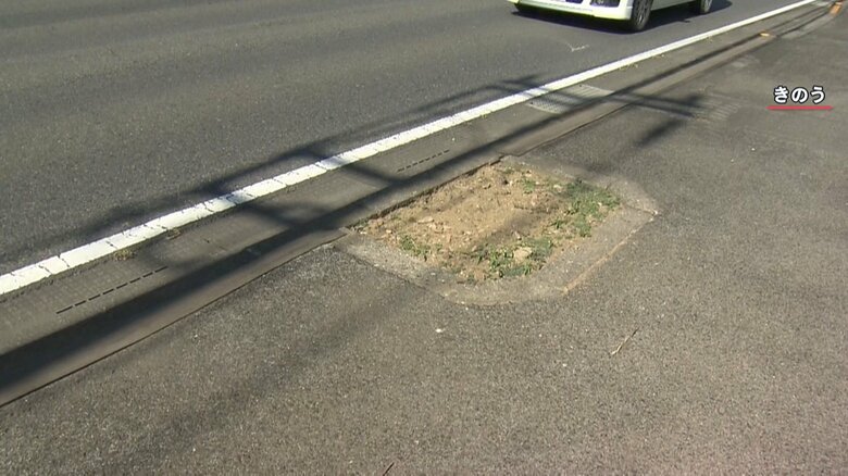 7月25日撮影　植えられていた街路樹がなくなっている