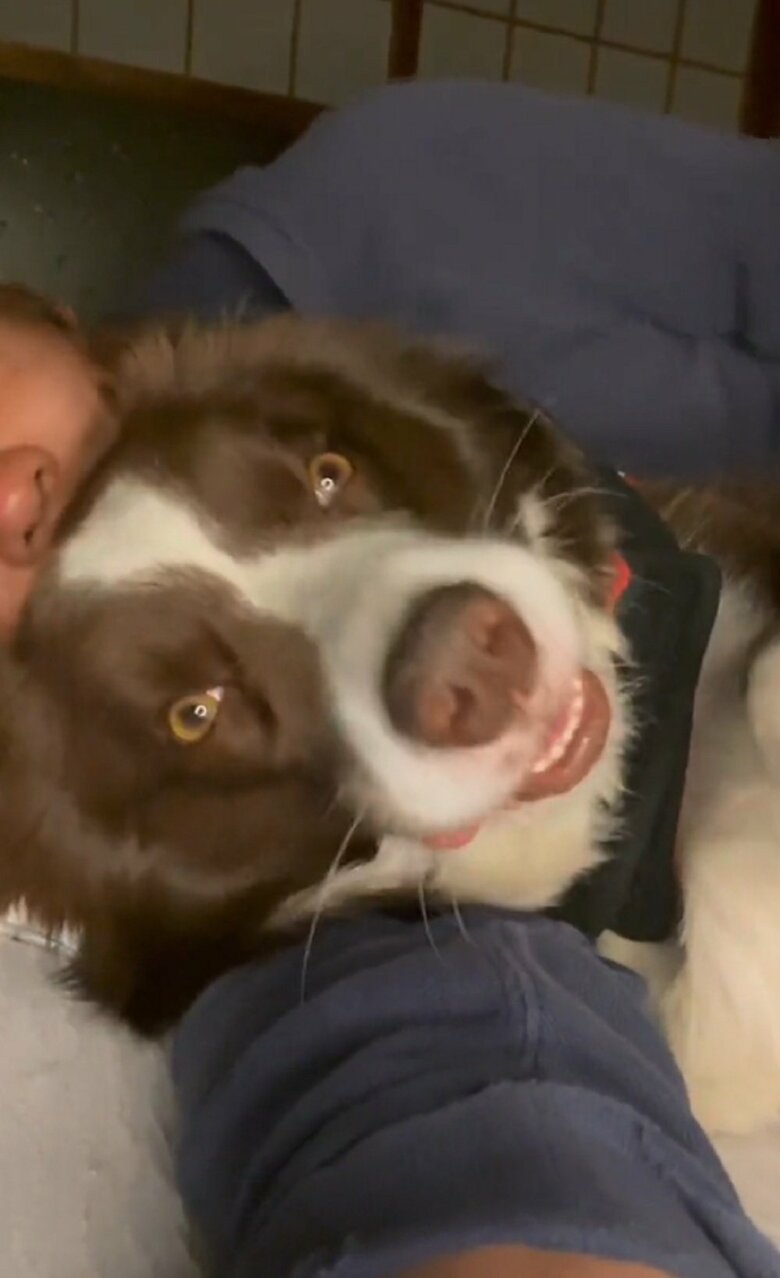 トモさんの腕の中