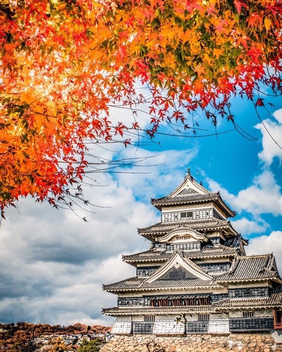 紅葉の松本城