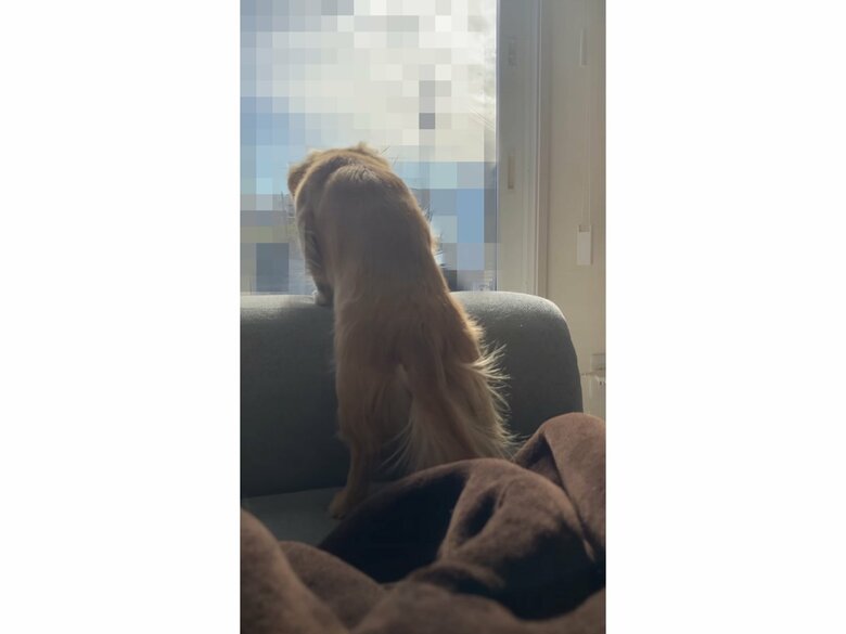 提供：___0516.wanさん