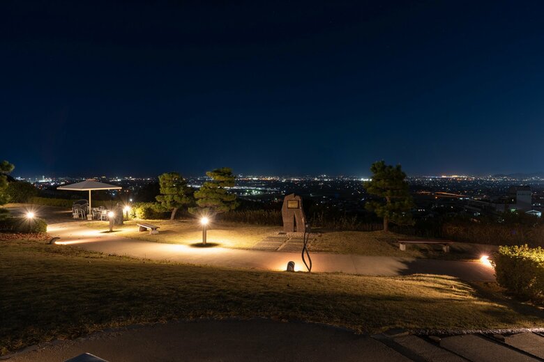 伊予灘SA・下りからの夜景