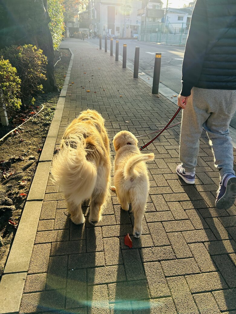 提供：efrinmanさん