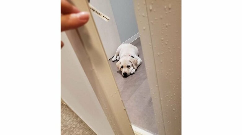 小さい頃からお風呂の出待ちをしているという