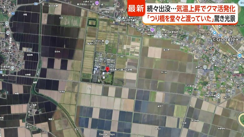 画像中心の「赤い印」が農業試験場