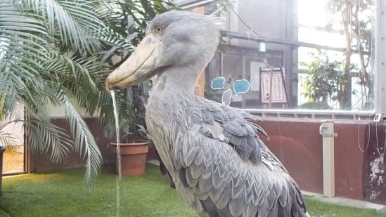 何度も水をこぼすフドウくん