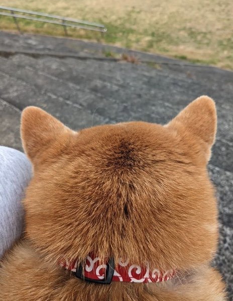 提供：natsumi.nnnさん