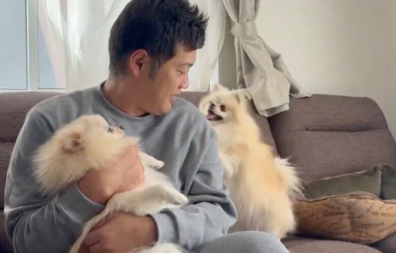 右：ヤキモチをやくクララちゃん（提供：愉快な3姉妹ポメラニアンちゃんねるさん）