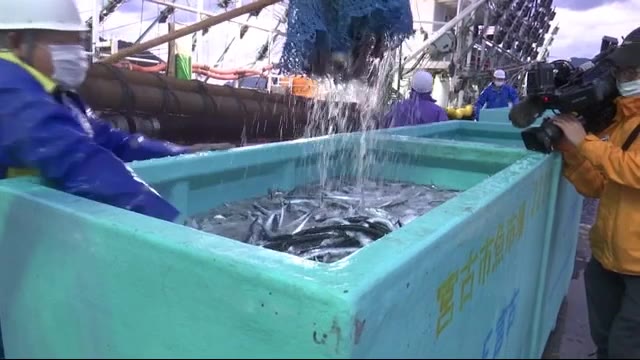 サンマ 今後の水揚げ量や価格は? 県内の港に水揚げ本格化<岩手県>