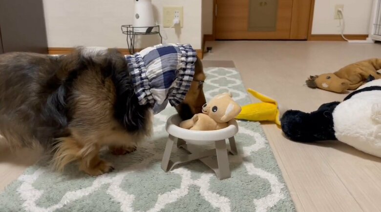 提供：るのんさん