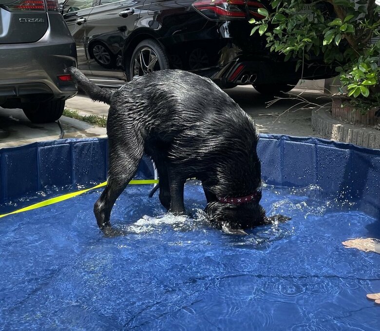 頭をつっこんで…全身で満喫したようだ（2021年撮影）