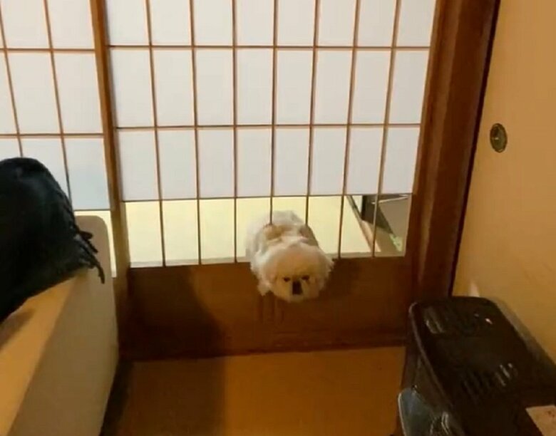 これ、もしかして…ダメなのでは？