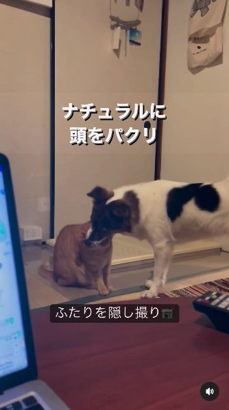 提供：naomiさん